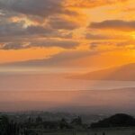 Maui Birdwatching at Maui Bird House - The Practical Side: Details and Logistics