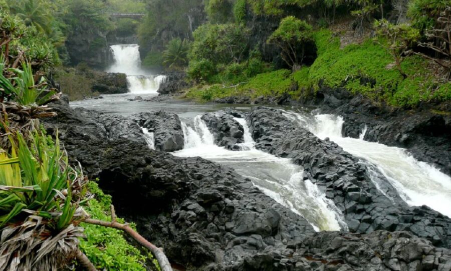 Maui: Full Day Hiking Tour with Lunch - Why This Tour Offers Excellent Value