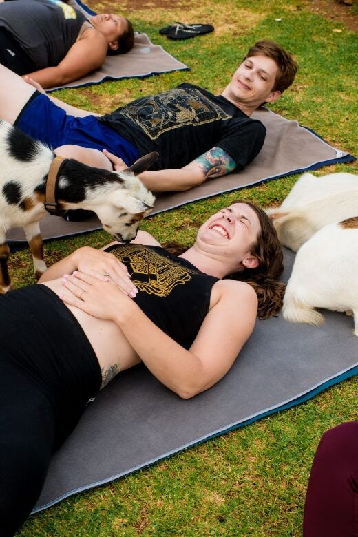 Maui Goat Yoga with Miniature Goats - The Itinerary Breakdown: What to Expect