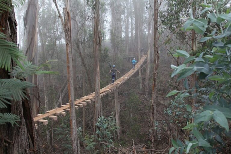 Maui: Haleakala 6-Line Zipline Adventure - The Practicalities: What You Need to Know