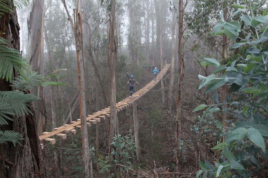 Maui: Haleakala 6-Line Zipline Adventure - The Practicalities: What You Need to Know
