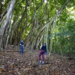 Maui: Honolua Ridgeline Informational Hike - Exploring MauI’s Hidden Natural Treasures