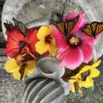 Maui: Interactive Butterfly Farm Entrance Ticket - What to Expect from the Maui Butterfly Farm Experience