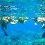 Maui: Kaanapali Beach 5-hr Snorkel w/ BBQ Lunch & Open Bar - Why This Tour Offers Great Value