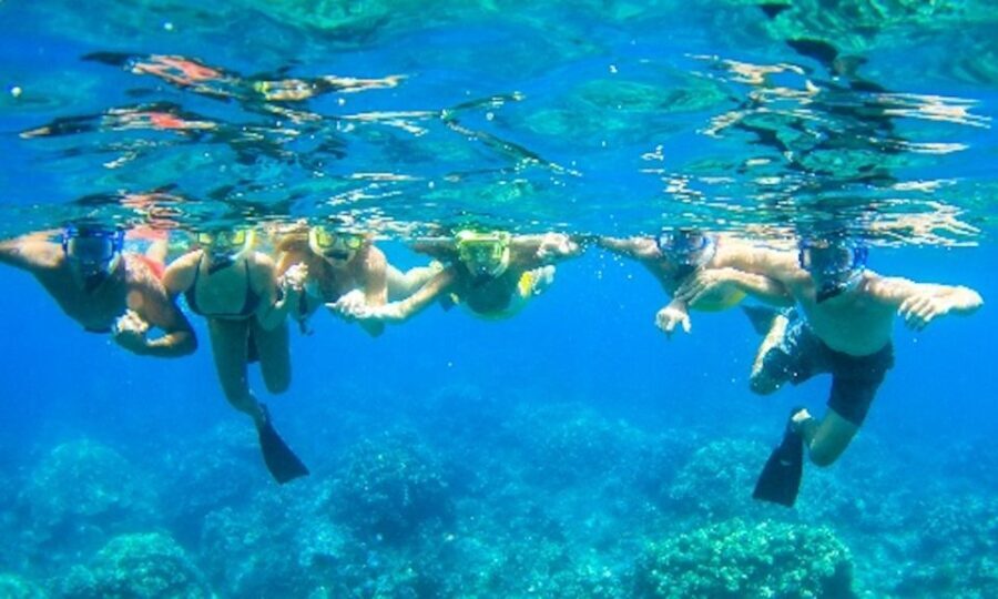 Maui: Kaanapali Beach 5-hr Snorkel w/ BBQ Lunch & Open Bar - Why This Tour Offers Great Value