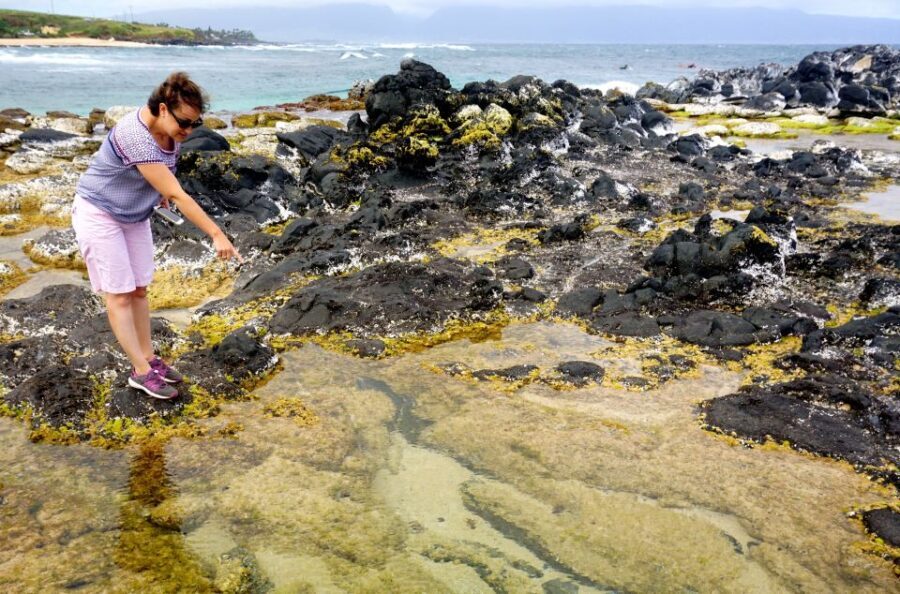 Maui: Private Guided Round-Trip Excursion to Hana - Is It Worth the Price?
