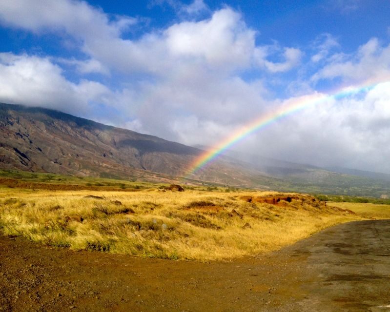Maui: Private Road to Hana Full Loop Guided Tour - Is This Tour Worth the Price?