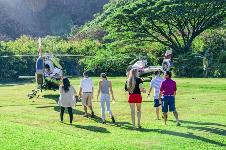 Maui: Road to Hana Helicopter & Waterfall Tour with Landing - Who Will Love This Experience?