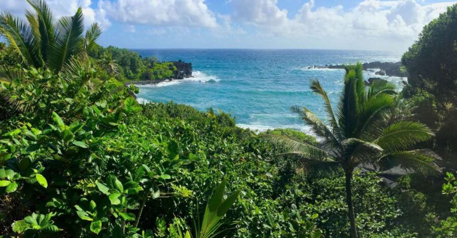 Maui: Road to Hana Sightseeing Tour - Transportation, Price, and Overall Value