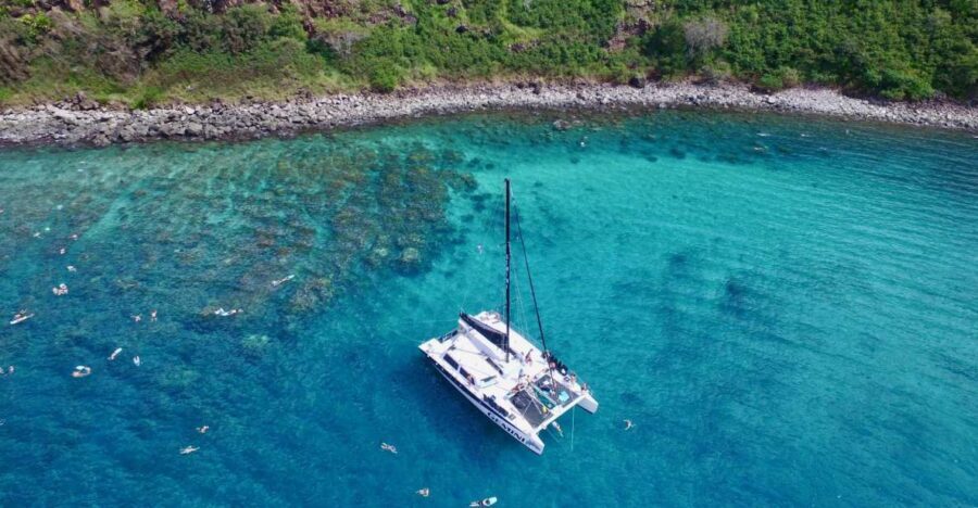 Maui: Snorkeling and Sailing Adventure with Buffet Lunch - The Snorkeling Experience
