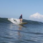 Maui: Surf Lessons for Families, Kids, and Beginners - Practical Details and Booking