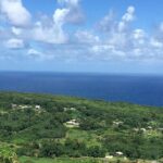 Maui to Big Island : Big Island Volcano Helicopter Tour & Ground Tour - Authentic Perspectives from Past Travelers