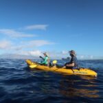 Maui: Turtle Town Kayak and Snorkel Tour - What to Expect from the Tour