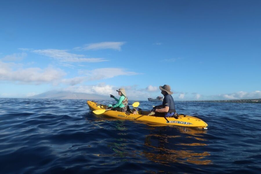 Maui: Turtle Town Kayak and Snorkel Tour - What to Expect from the Tour