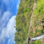 Maui: Van Day Trip to Hana with Local Guide and Lunch - Overall Value and Who Should Consider This Tour