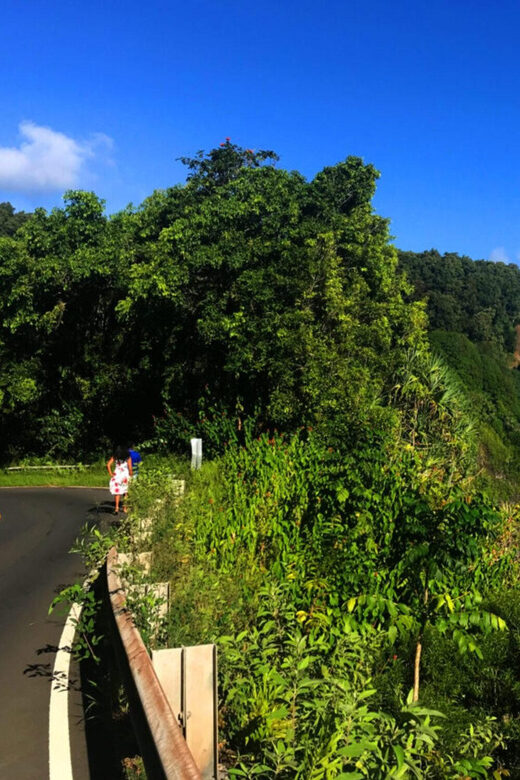 Maui: West Maui Tour with Breakfast and Lunch - Practical Tips for Making the Most of Your Day