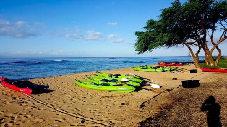 Maui: West Side Discovery Kayak & Snorkel from UKUMEHAME - The Full Experience: A Deep Dive into the Tour