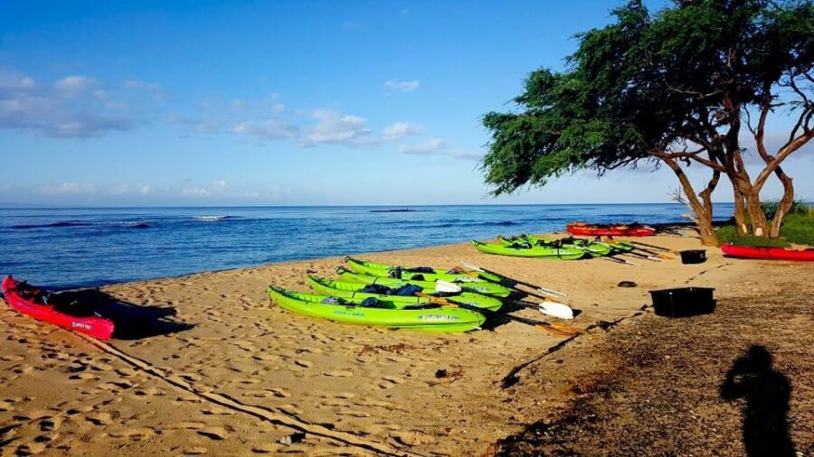 Maui: West Side Discovery Kayak & Snorkel from UKUMEHAME - The Full Experience: A Deep Dive into the Tour