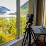 Mendenhall Glacier Express Tour - The Stops and What You Can Expect