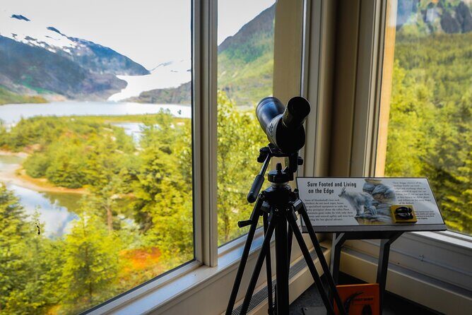 Mendenhall Glacier Express Tour - The Stops and What You Can Expect