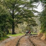 Mendocino County: Pudding Creek Railbikes - Who Will Love This Tour?