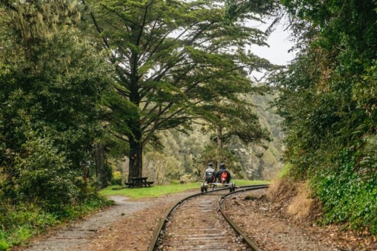 Mendocino County: Pudding Creek Railbikes - Who Will Love This Tour?