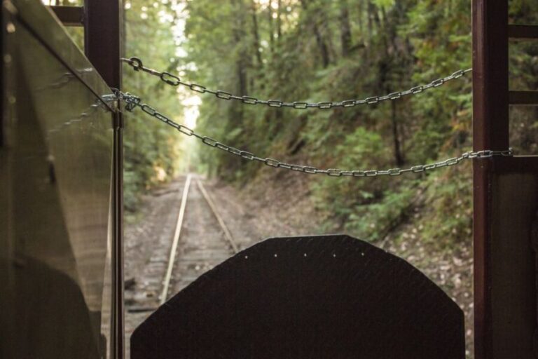 Mendocino County: Skunk Train Wolf Tree Turn Train Ride - The Sum Up: Is the Skunk Train Wolf Tree Turn Worth It?