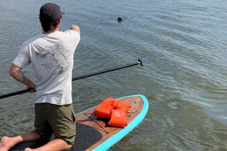 Merritt Island: Manatee Watching Paddle or Kayak Tour - The Sum Up