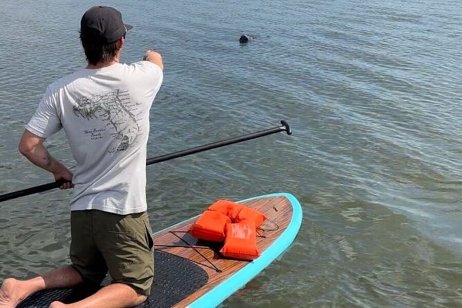 Merritt Island: Manatee Watching Paddle or Kayak Tour - The Sum Up