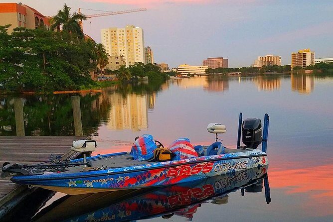 Miami Airport Lakes Peacock Bass Fishing Trip (1 to 4 ppl) - An In-Depth Look at the Miami Airport Lakes Peacock Bass Fishing Trip