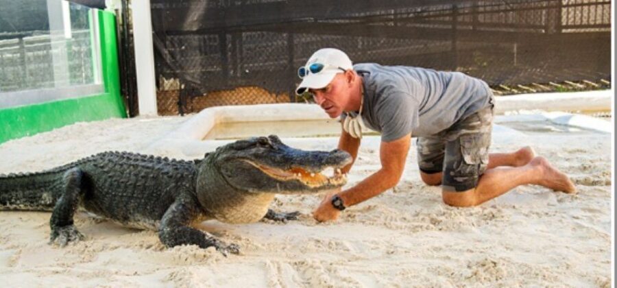 Miami Beach: Everglades Airboat Tours and Rides - The Value of the Tour