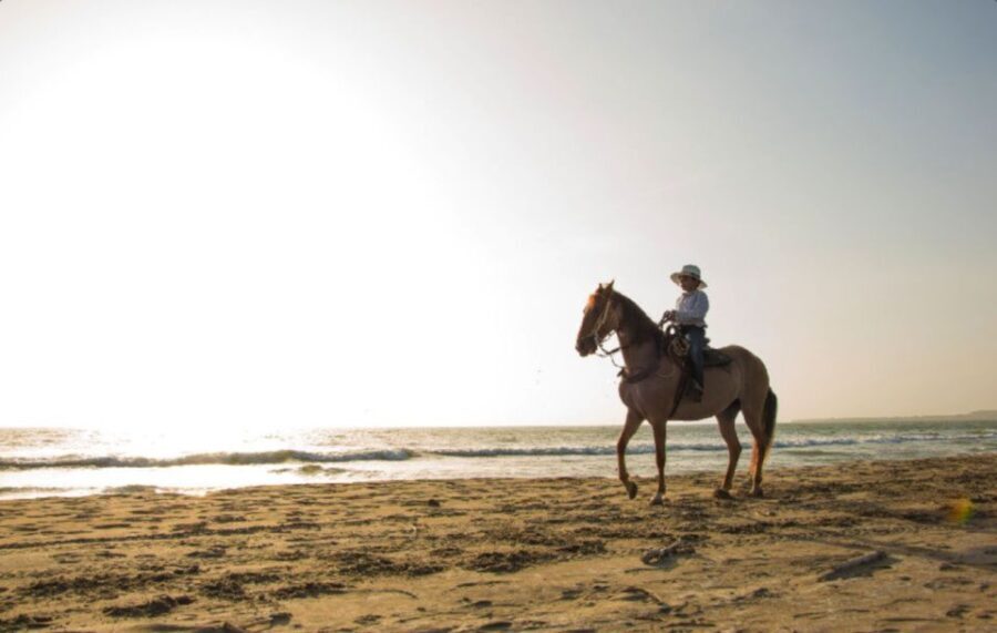 Miami: Beach Horse Ride & Nature Trail - The Itinerary in Detail