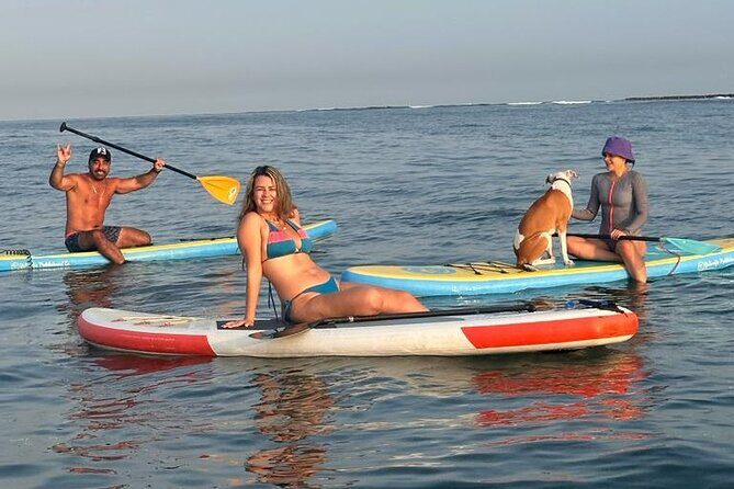 Miami Beach Paddleboard Rental with Instruction - Final Thoughts: Is It Worth It?