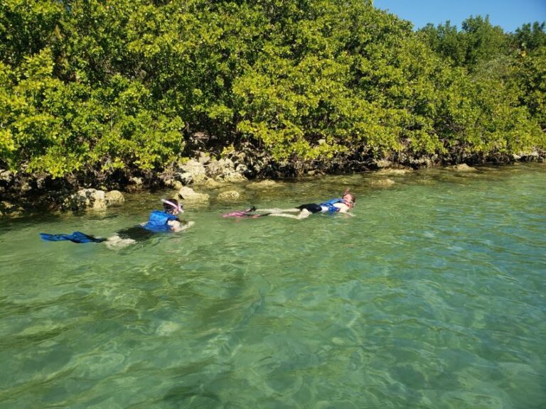 Miami: Beginner-Friendly Island Snorkeling by SUP or Kayak - The Paddling Lesson: Making It Easy for Beginners