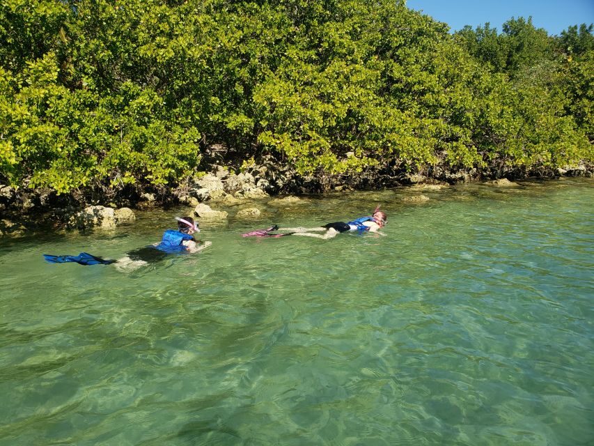 Miami: Beginner-Friendly Island Snorkeling by SUP or Kayak - The Paddling Lesson: Making It Easy for Beginners