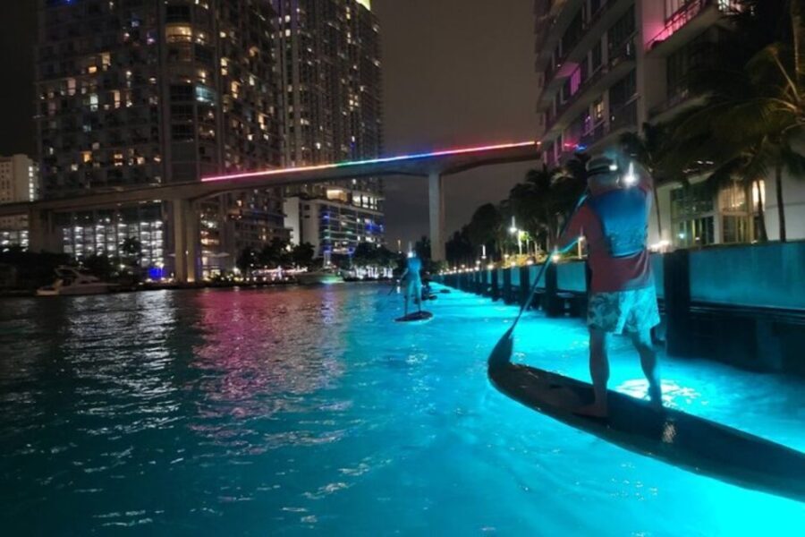 Miami: City Lights SUP or Kayak Night Tour - The Overall Value