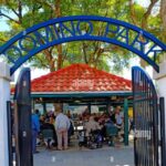 Miami City tour & Boat Tour - Transportation & Logistics
