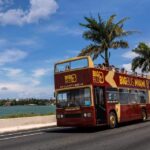 Miami: Everglades Adventure & Big Bus Hop-on Hop-off Tour - Deep Dive into the Itinerary and Highlights
