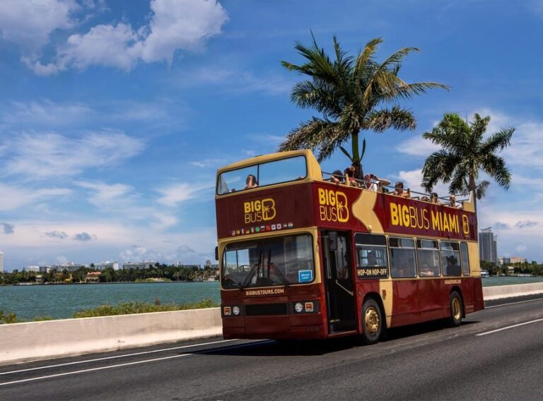 Miami: Everglades Adventure & Big Bus Hop-on Hop-off Tour - Deep Dive into the Itinerary and Highlights