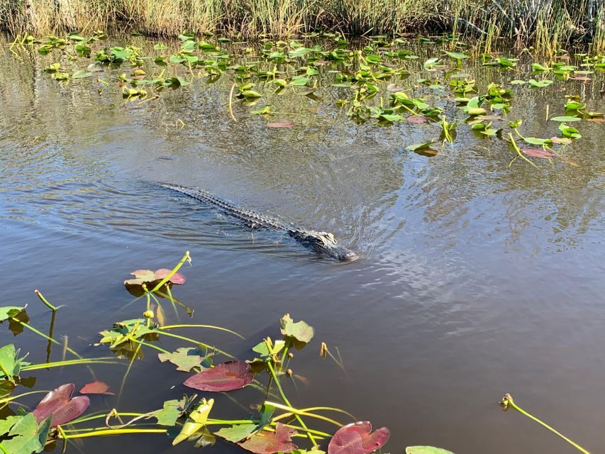Miami: Everglades Airboat & Animal Sanctuary Tour with Photo - Visiting the Animal Sanctuary