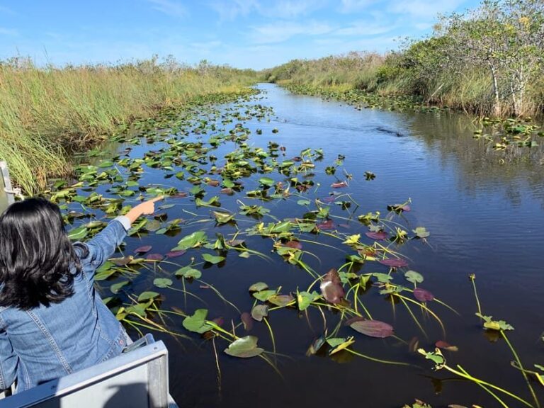 Miami: Everglades Airboat, Photo & Gator Experience - What Makes This Tour a Good Choice?