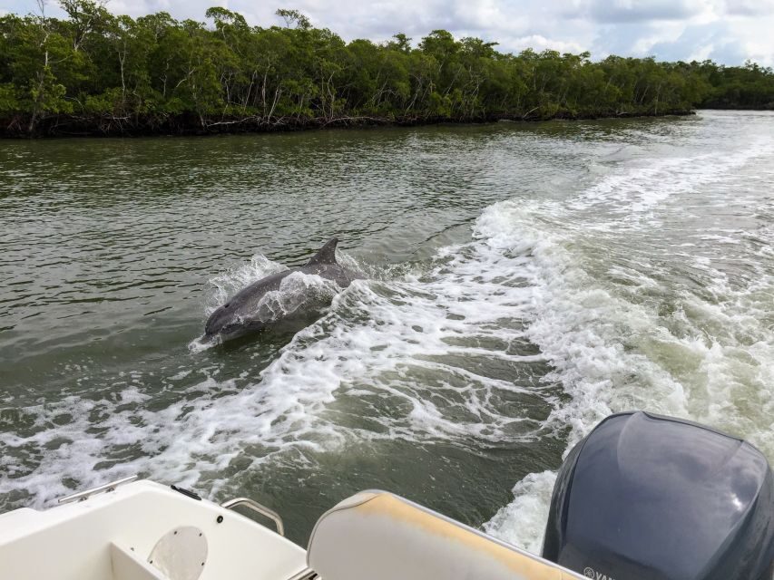 Miami: Everglades Full-Day Tour with 2 Boat Trips and Lunch - A Deep Dive into the Full-Day Everglades Adventure