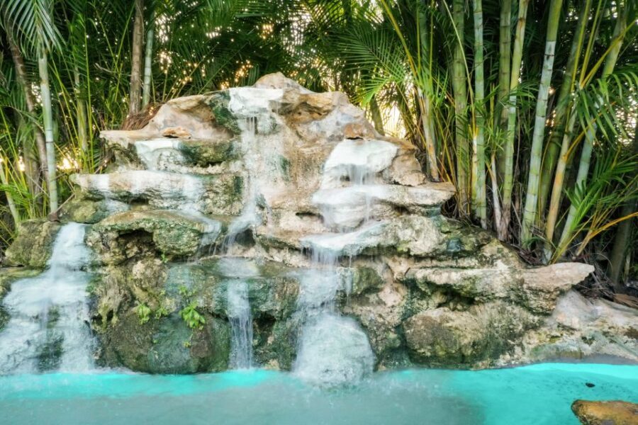 Miami: Everglades National Park Airboat Tour & Wildlife Show - The Itinerary in Detail