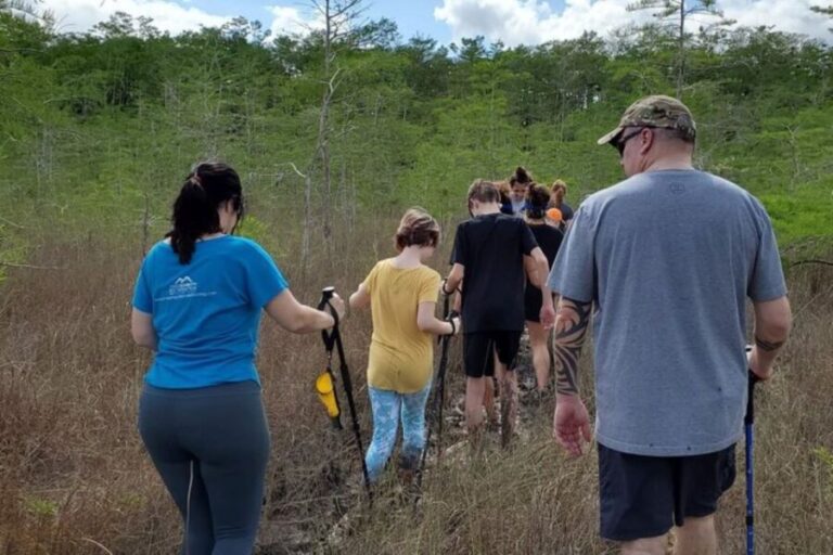 Miami: Everglades National Park Hiking and Kayaking Day Trip - The Itinerary: What to Expect