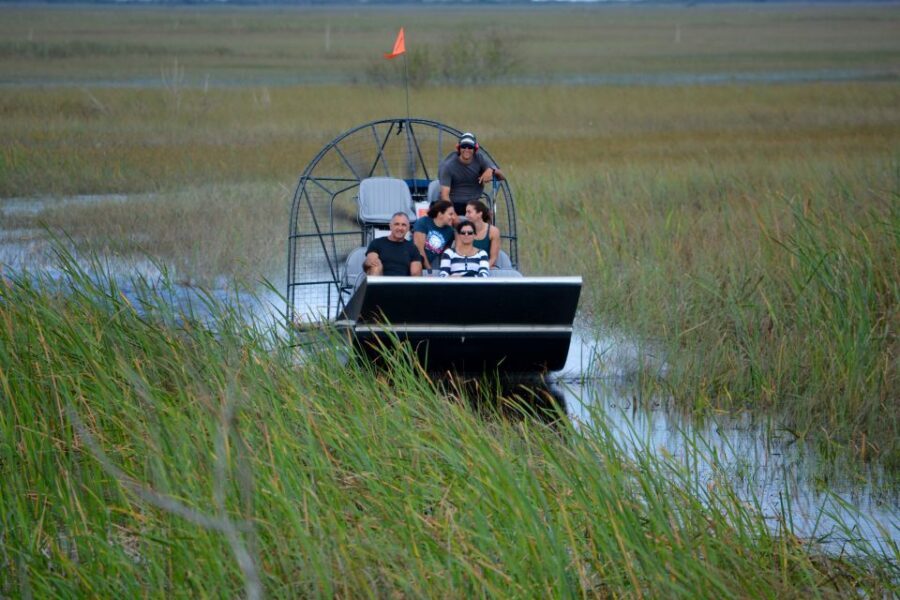 Miami: Everglades River of Grass Small Airboat Wildlife Tour - Wildlife Encounters and Educational Insights