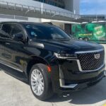 Miami & Fort Lauderdale - Port & Airport Transfer Service - Who Should Consider This Service?