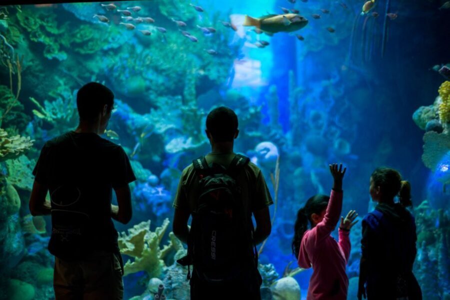 Miami: Frost Museum of Science and Planetarium Entry Ticket - Who Will Love This Experience?