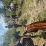 Miami: Guided Horseback Riding Tour - The Practical Aspects: Price, Duration, and Group Size
