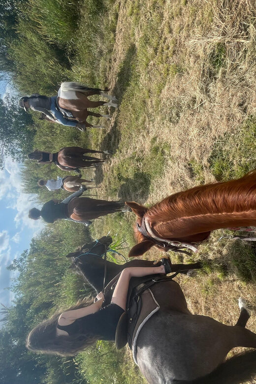 Miami: Guided Horseback Riding Tour - The Practical Aspects: Price, Duration, and Group Size
