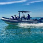 Miami: Guided Small Group Boat Tour + Iconic Stiltsville - An In-Depth Look at What to Expect